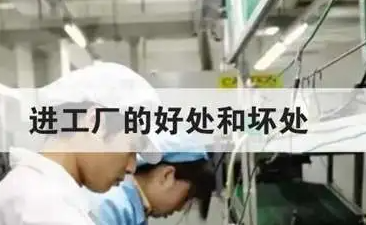 进厂工作与自由职业的利弊分析