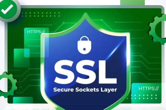 免费的SSL证书有安全风险吗